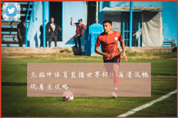 无插件体育直播世界杯:高清流畅观看全攻略