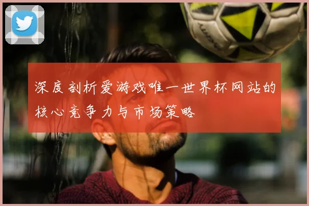 深度剖析爱游戏唯一世界杯网站的核心竞争力与市场策略