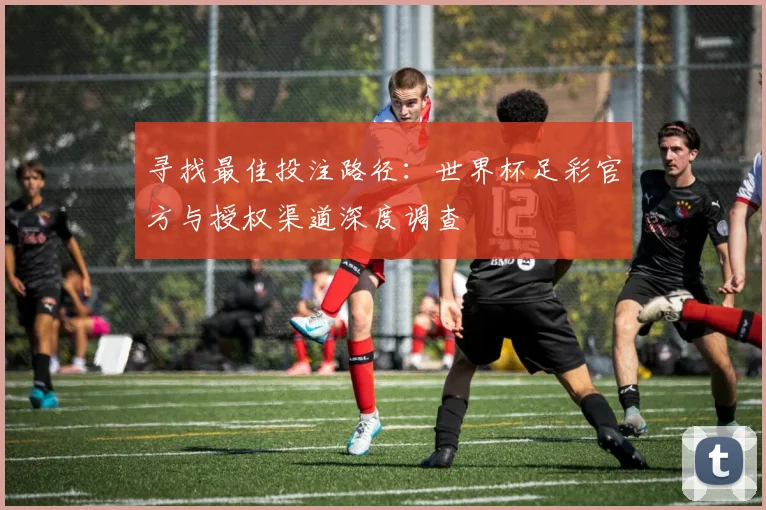 寻找最佳投注路径：世界杯足彩官方与授权渠道深度调查