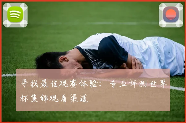 寻找最佳观赛体验：专业评测世界杯集锦观看渠道