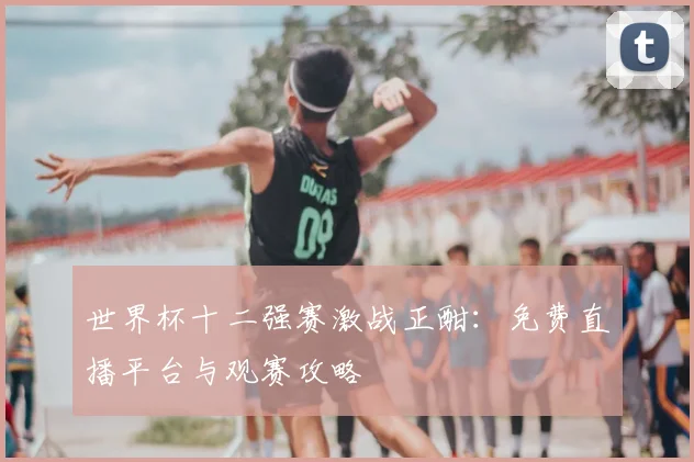 世界杯十二强赛激战正酣：免费直播平台与观赛攻略