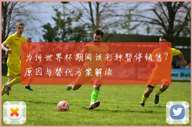 为何世界杯期间该彩种暂停销售？原因与替代方案解读