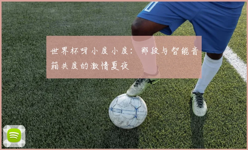 世界杯呀小度小度：那段与智能音箱共度的激情夏夜